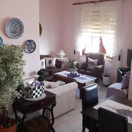 Pv2337 Kaş